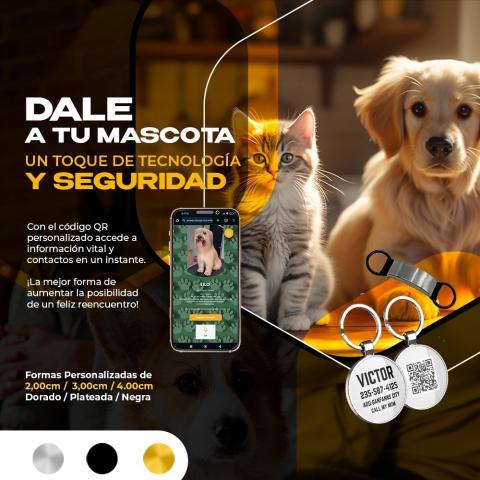 placa